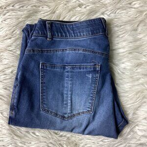 Democracy Distressed Skinny